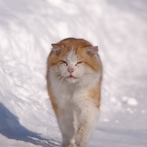 Photo #14057033