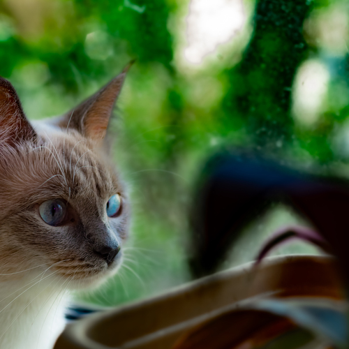 Photo #14057069