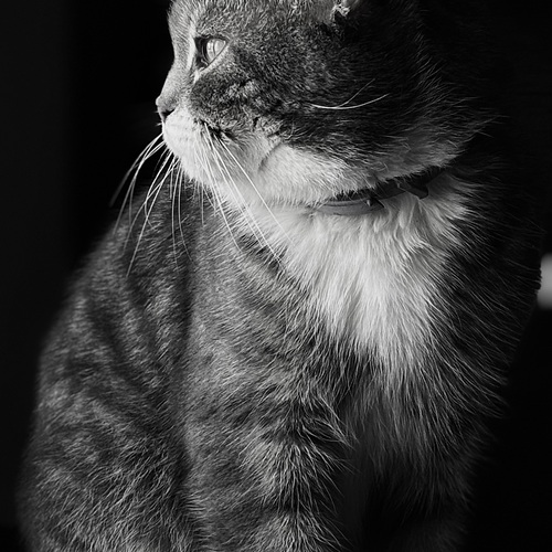 Photo #14057092