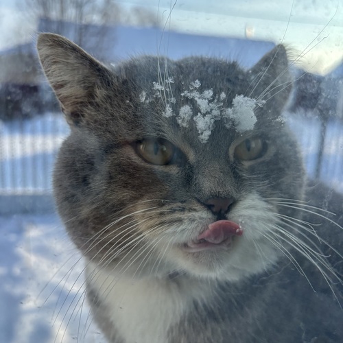 Photo #14057093