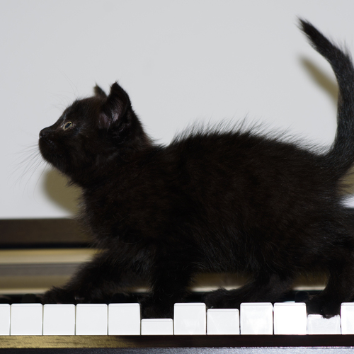 Photo #14057244