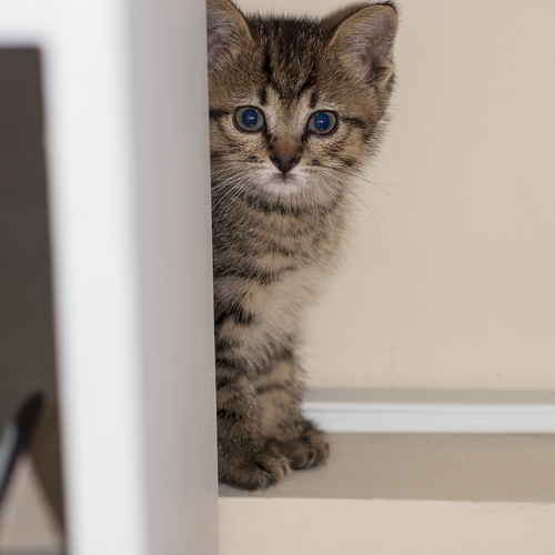 Photo #14057248