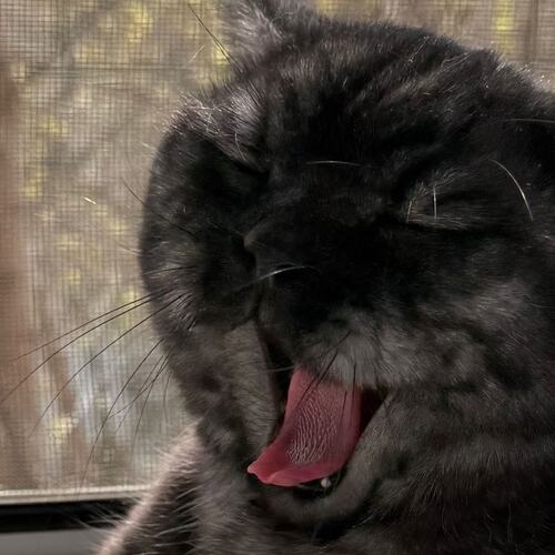 Photo #14057249