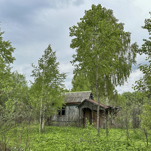 Photo #14057366
