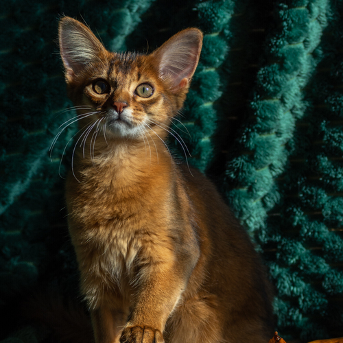 Photo #14057458