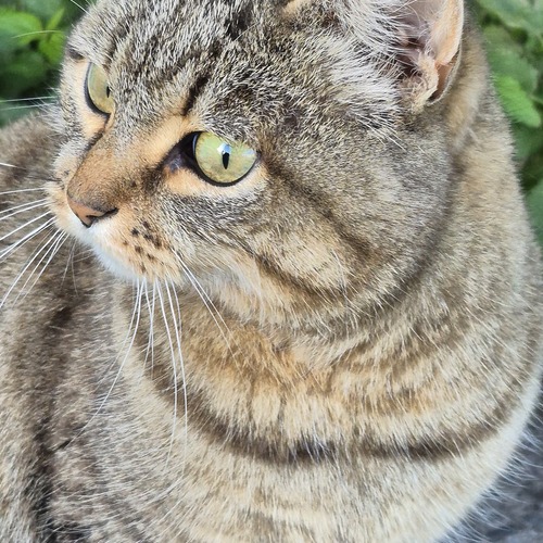 Photo #14057506