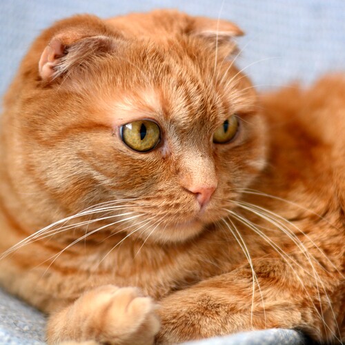 Photo #14057563