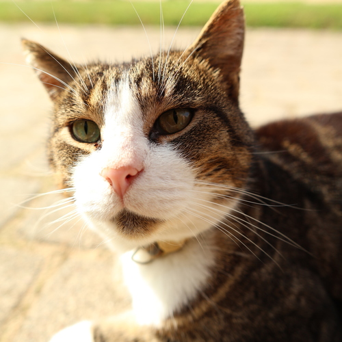 Photo #14057581