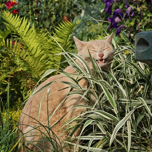 Photo #14057589