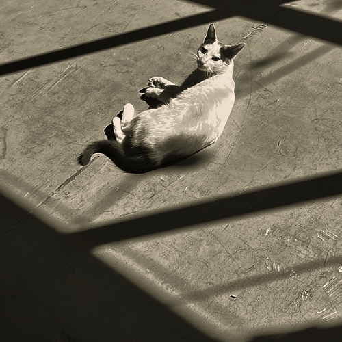 Photo #14057591