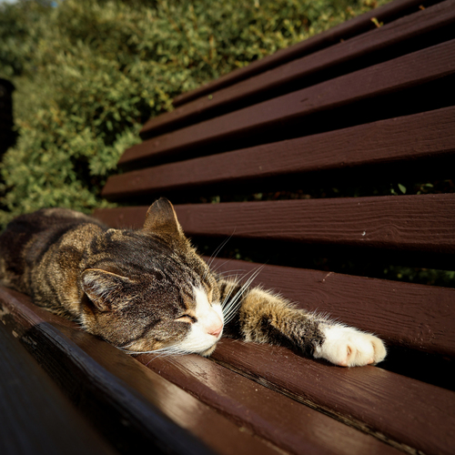 Photo #14057595