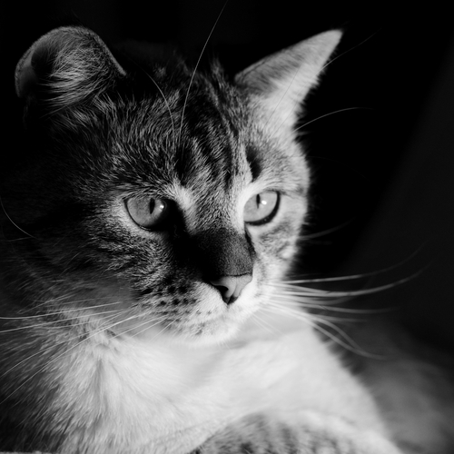 Photo #14057600