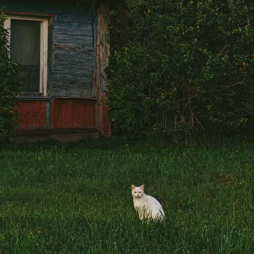 Photo #14057645