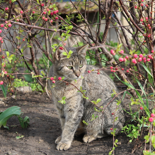 Photo #14057657