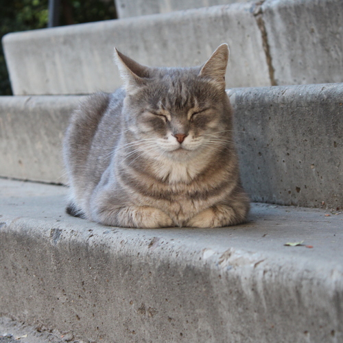 Photo #14057658