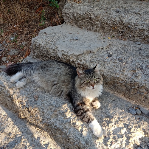 Photo #14057694