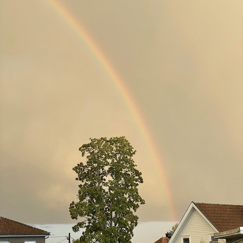 Photo #14057775