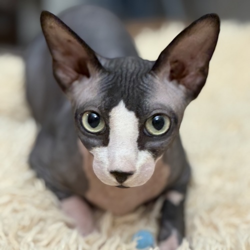 Photo #14057851