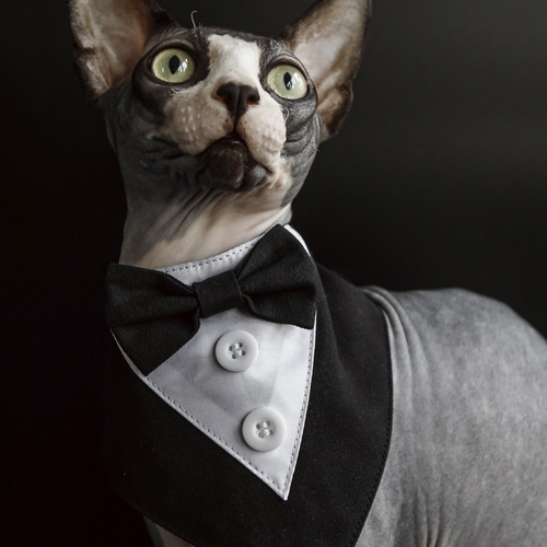 Photo #14057852