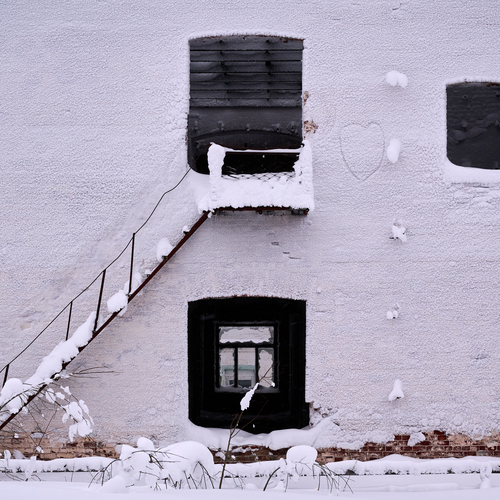 Photo #14057914