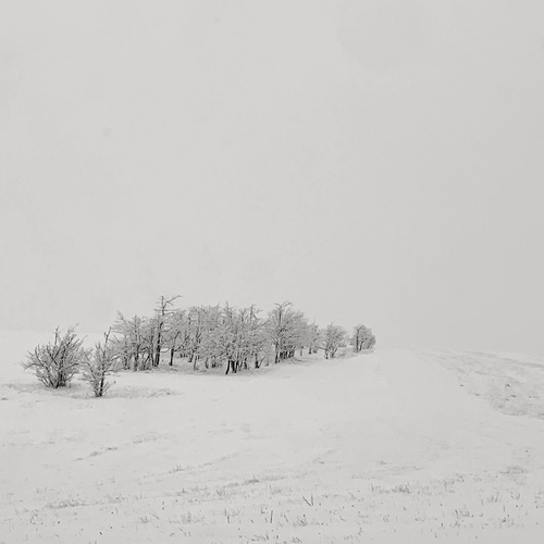 Photo #14057918