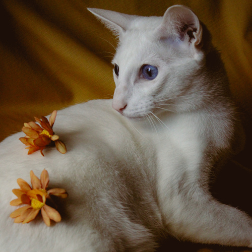 Photo #14057927