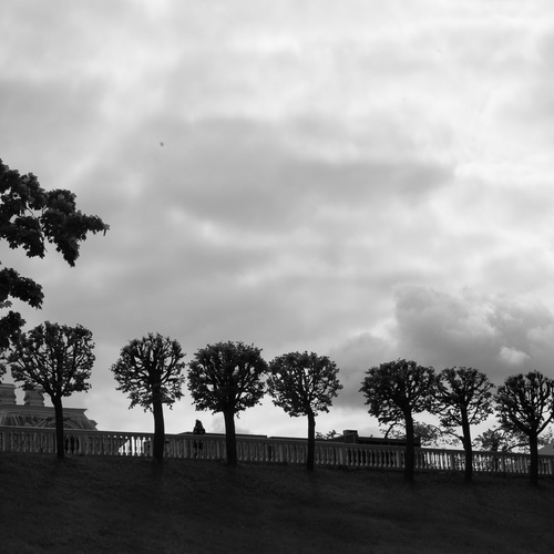 Photo #14057966