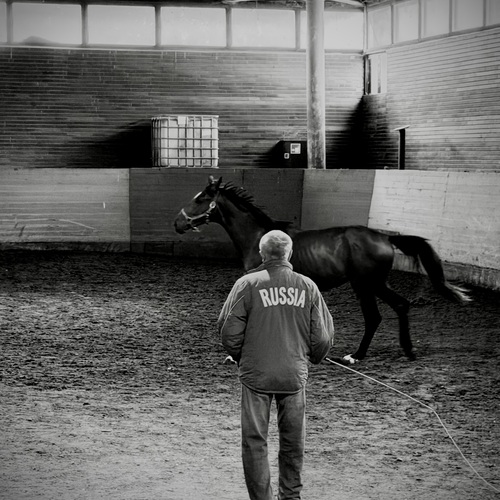 Photo #14057967