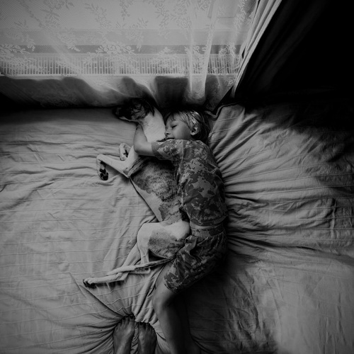 Photo #14057968
