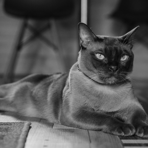 Photo #14058052