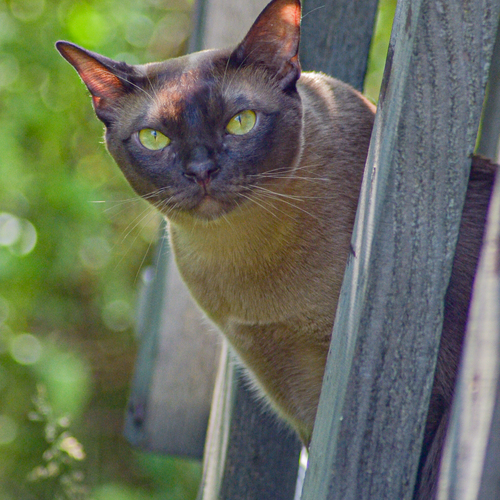 Photo #14058057