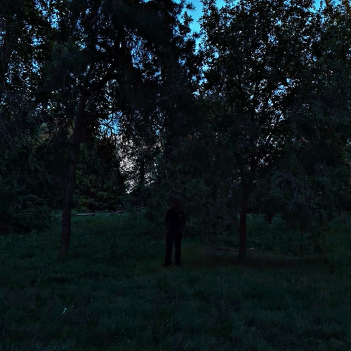 Photo #14058136