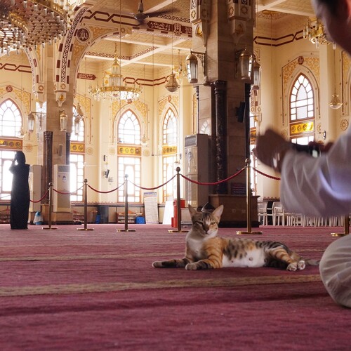 Photo #14058141