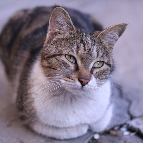 Photo #14058163