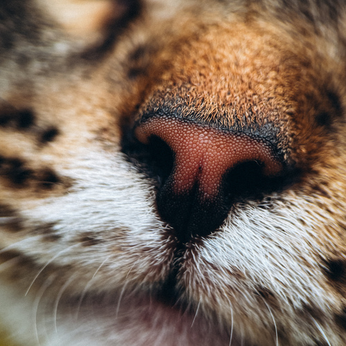 Photo #14058316