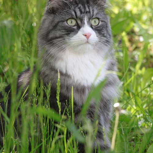 Photo #14058322