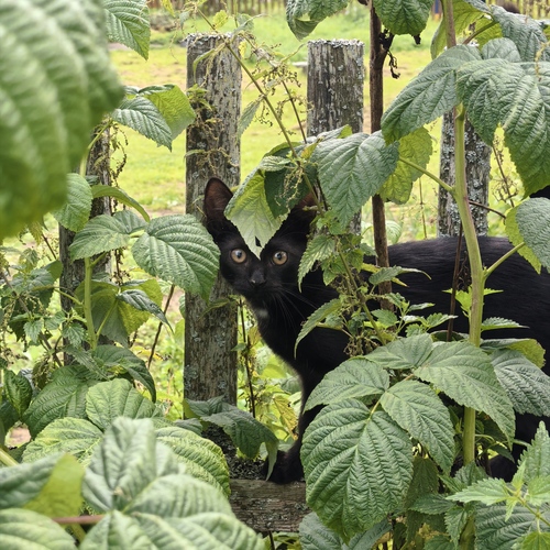 Photo #14058349