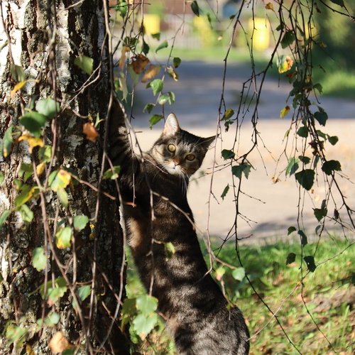 Photo #14058357