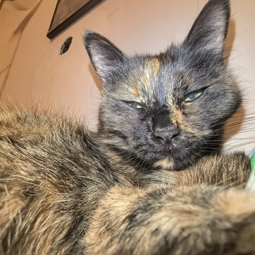 Photo #14058381