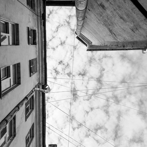 Photo #14058387