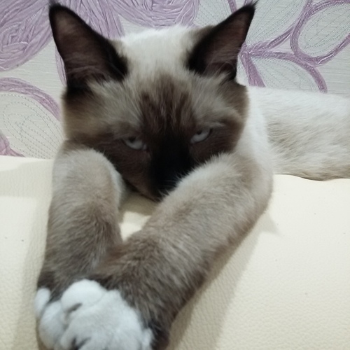 Photo #14058501