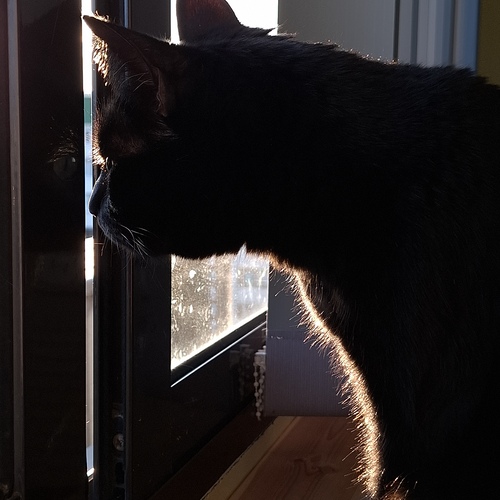 Photo #14058512
