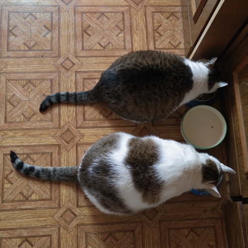 Photo #14058515