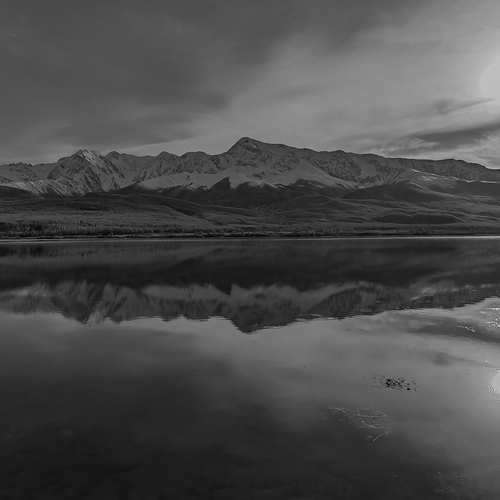 Photo #14058572