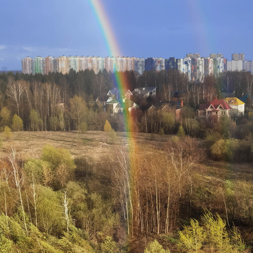 Photo #14058613