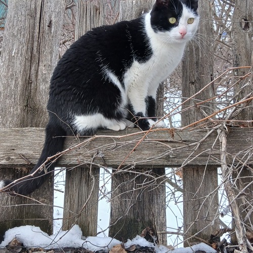 Photo #14058624