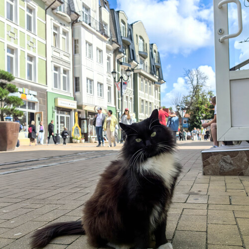 Photo #14058628