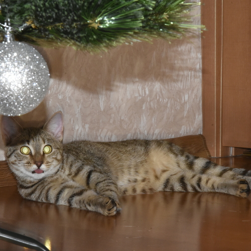 Photo #14058632