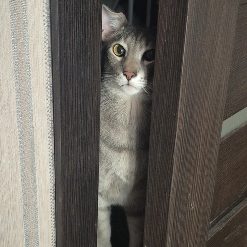 Photo #14058740