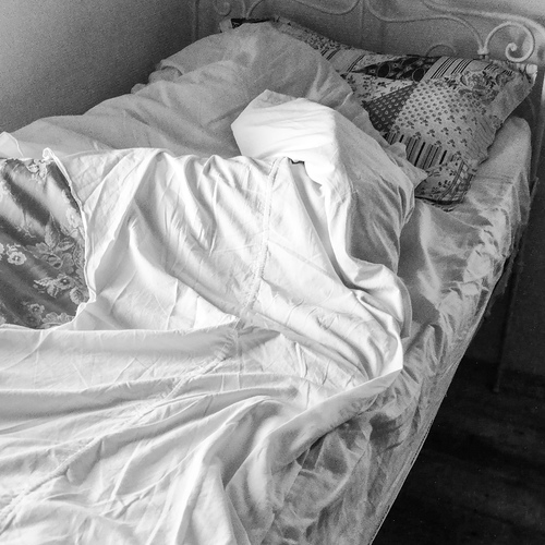 Photo #14058749